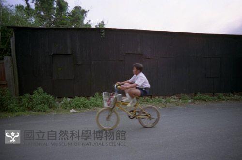 1950至2006年臺灣常民生活藏品圖，第1張
