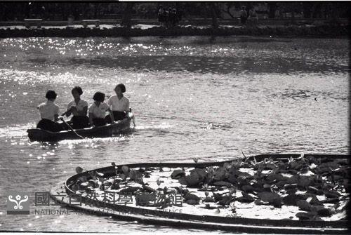 Accession Number:MP2007013327 Collection Image