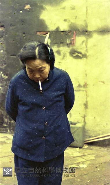 1950至2006年臺灣常民生活藏品圖，第1張