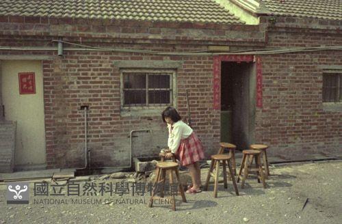 1950至2006年臺灣常民生活藏品圖，第1張