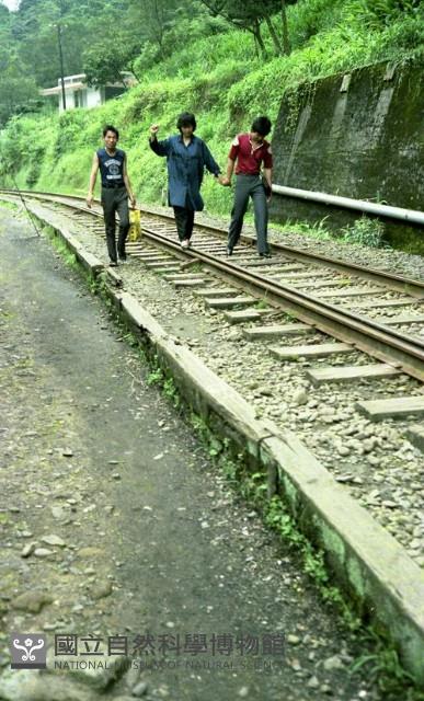 1950至2006年臺灣常民生活藏品圖，第1張