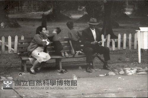 1950至2006年臺灣常民生活藏品圖，第1張