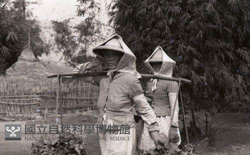 1950至2006年臺灣常民生活 藏品圖，第1張