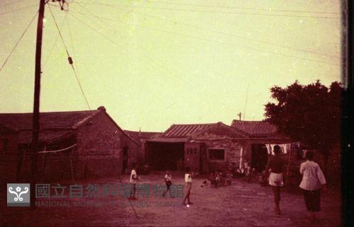 1950至2006年臺灣常民生活藏品圖，第1張