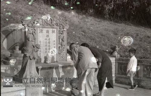 1950至2006年臺灣常民生活藏品圖，第1張