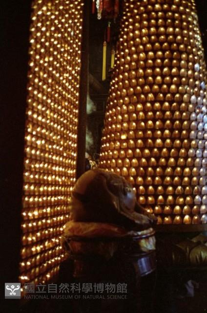 1950至2006年臺灣常民生活藏品圖，第1張