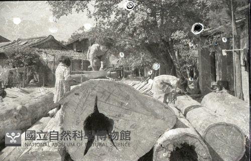 1950至2006年臺灣常民生活藏品圖，第1張