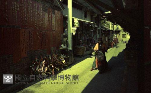 1950至2006年臺灣常民生活藏品圖，第1張