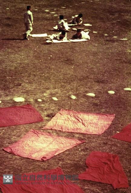 1950至2006年臺灣常民生活藏品圖，第1張