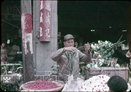 〈祭の日〉祭典日（1950至2006年臺灣常民生活）藏品圖，第1張
