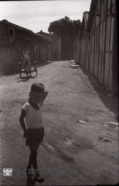 1950至2006年臺灣常民生活藏品圖，第1張