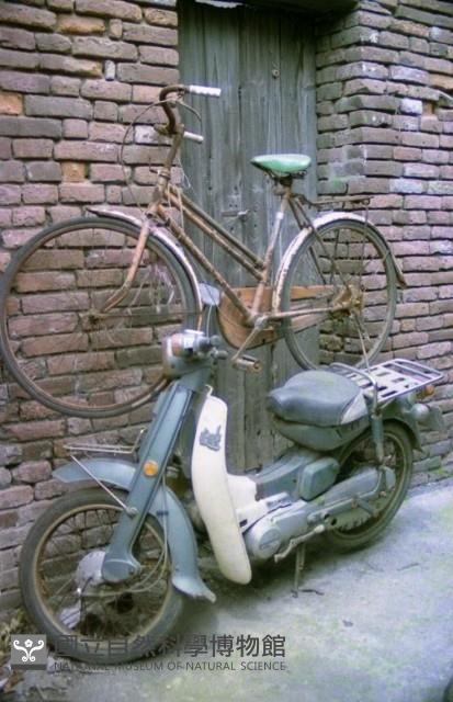 Accession Number:MP2007004077 Collection Image