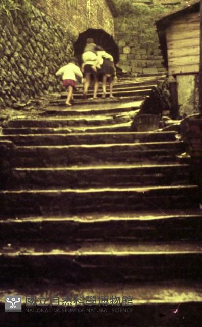 1950至2006年臺灣常民生活藏品圖，第1張