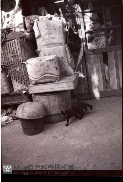 1950至2006年臺灣常民生活藏品圖，第1張