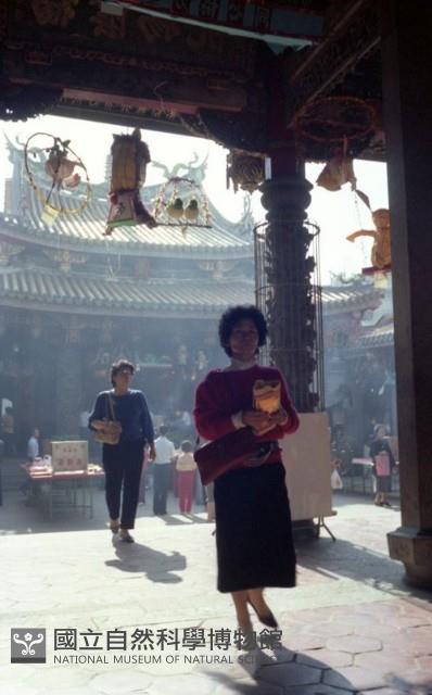 1950至2006年臺灣常民生活藏品圖，第1張