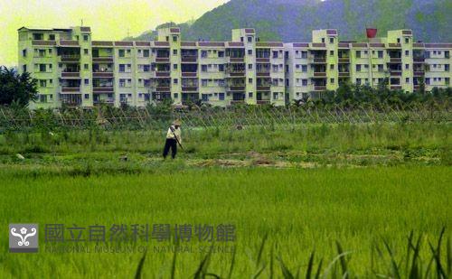 1950至2006年臺灣常民生活藏品圖，第1張