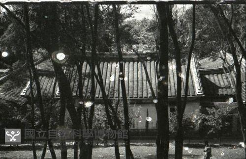 1950至2006年台灣常民生活藏品圖，第1張