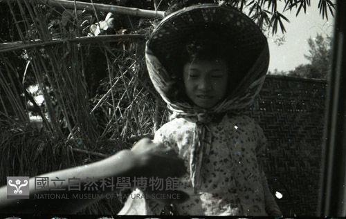 1950至2006年臺灣常民生活 藏品圖，第1張