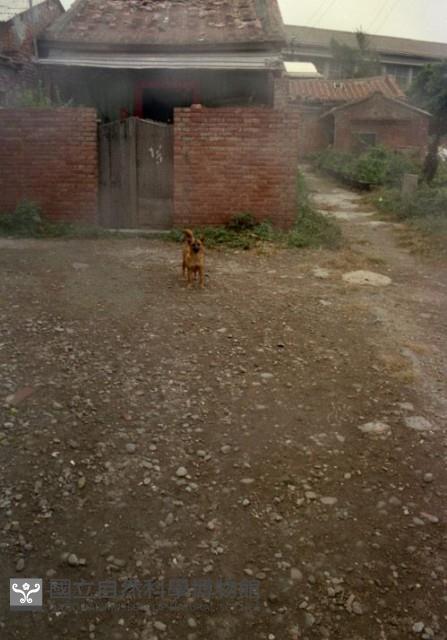 1950至2006年臺灣常民生活藏品圖，第1張