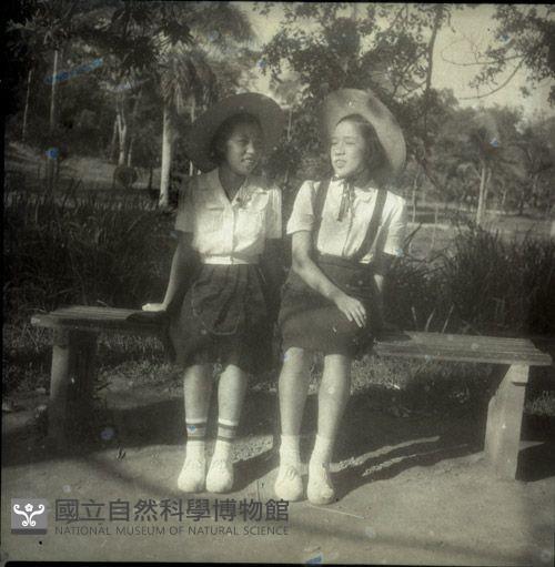 1950至2006年臺灣常民生活藏品圖，第1張