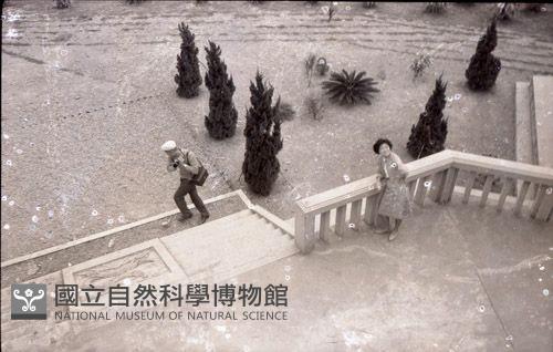 1950至2006年臺灣常民生活藏品圖，第1張
