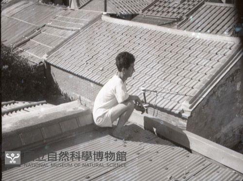 1950至2006年臺灣常民生活藏品圖，第1張