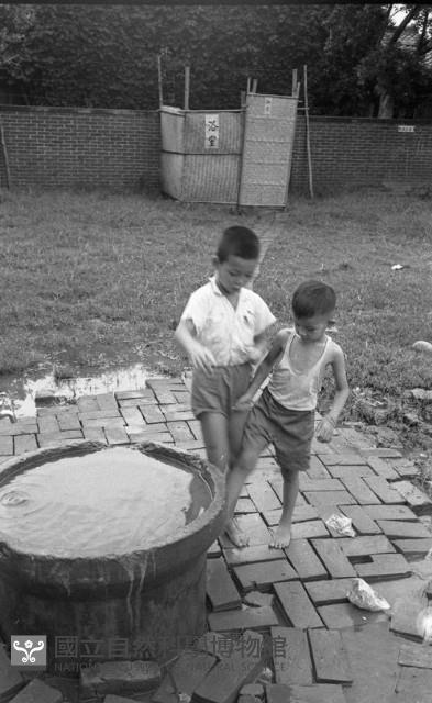 1950至2006年臺灣常民生活藏品圖，第1張