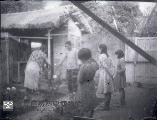 1950至2006年臺灣常民生活藏品圖，第1張