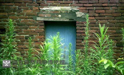 1950至2006年臺灣常民生活藏品圖，第1張