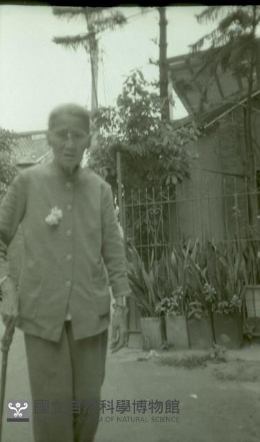 1950至2006年臺灣常民生活藏品圖，第1張