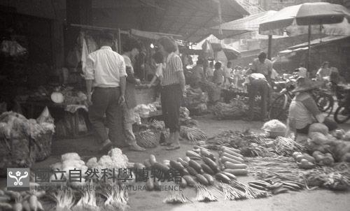 Accession Number:MP2007013657 Collection Image