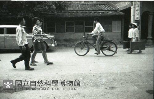 1950至2006年臺灣常民生活藏品圖，第1張