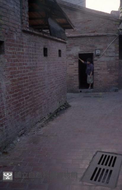 1950至2006年臺灣常民生活藏品圖，第1張