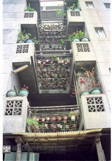 1950至2006年臺灣常民生活藏品圖，第1張