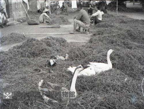 1950至2006年台灣常民生活藏品圖，第1張