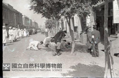 1950至2006年臺灣常民生活藏品圖，第1張