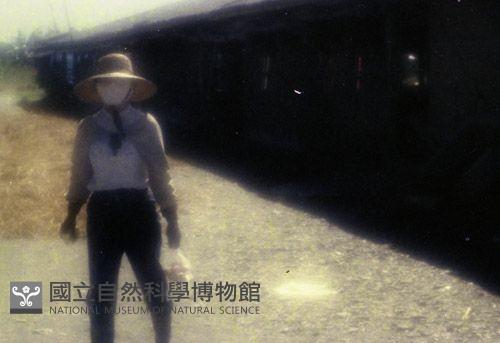 1950至2006年臺灣常民生活藏品圖，第1張