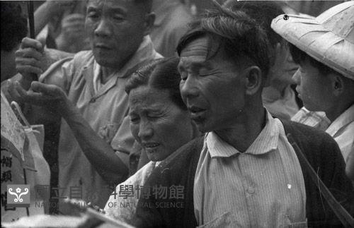 1950至2006年臺灣常民生活藏品圖，第1張