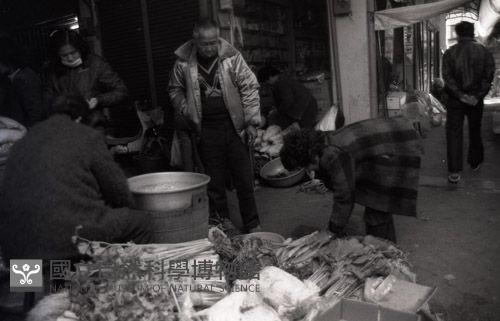 1950至2006年臺灣常民生活藏品圖，第1張