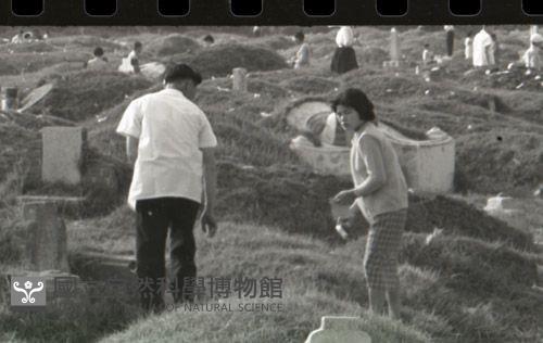 1950至2006年臺灣常民生活藏品圖，第1張