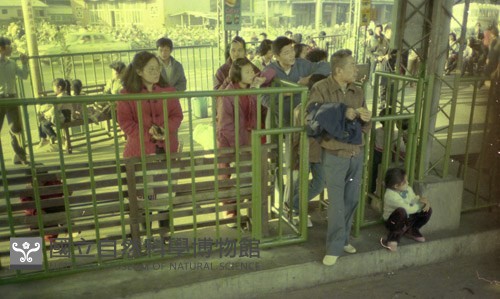 1950至2006年臺灣常民生活藏品圖，第1張