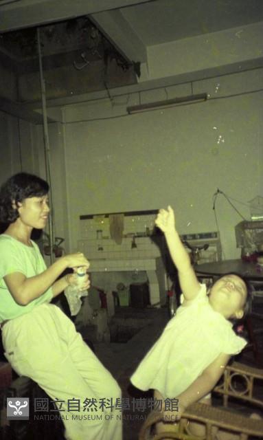 1950至2006年臺灣常民生活藏品圖，第1張