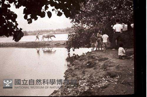 1950至2006年臺灣常民生活藏品圖，第1張