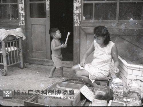 1950至2006年臺灣常民生活藏品圖，第1張
