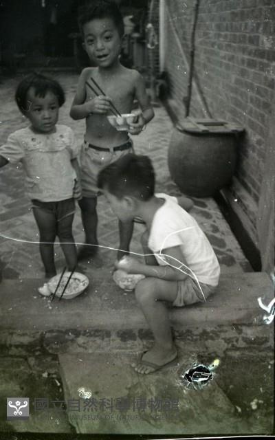 1950至2006年臺灣常民生活 藏品圖，第1張