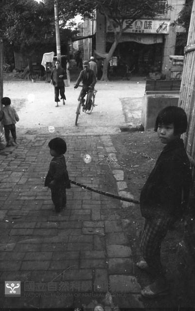 1950至2006年臺灣常民生活藏品圖，第1張