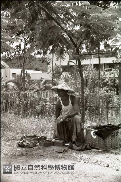 1950至2006年臺灣常民生活藏品圖，第1張