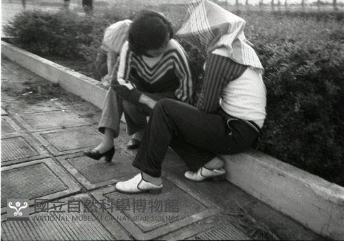 1950至2006年臺灣常民生活藏品圖，第1張
