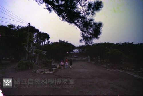 1950至2006年臺灣常民生活藏品圖，第1張