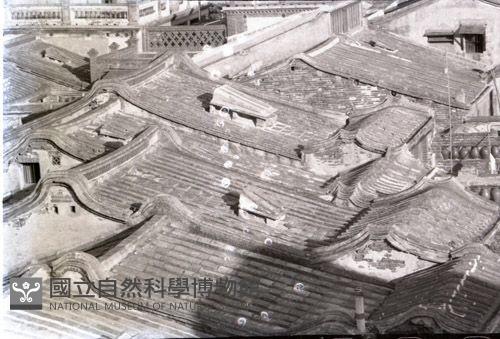1950至2006年台灣常民生活(No:149-3 黑)藏品圖，第1張